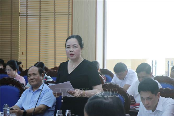 Các đại biểu tham gia đóng góp ý kiến. Ảnh: Vũ Hoàng Giang – TTXVN