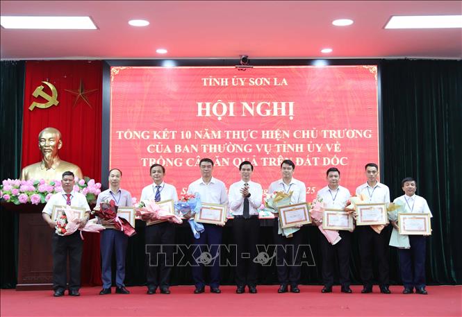 Ông Hoàng Quốc Khánh, Bí thư Tỉnh ủy Sơn La trao Bằng khen của Ban Thường vụ Tỉnh ủy tặng các tổ chức đảng có thành tích xuất sắc trong thực hiện chủ trương về trồng cây ăn quả trên đất dốc giai đoạn 2016 -  2025. Ảnh: Nguyễn Cường - TTXVN