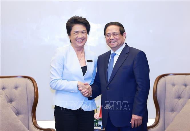 PM Pham Minh Chinh receives CEO of AMATA Group Somhatai Panichewa. VNA Photo: Dương Giang