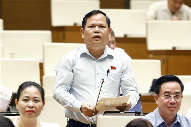 Đại biểu Quốc hội tỉnh Cà Mau Nguyễn Duy Thanh phát biểu. Ảnh: Doãn Tấn - TTXVN