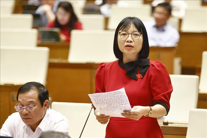 Đại biểu Quốc hội tỉnh Hải Dương Nguyễn Thị Việt Nga phát biểu. Ảnh: Doãn Tấn - TTXVN