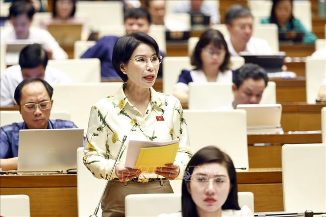 Đại biểu Quốc hội TP Hà Nội Trần Thị Nhị Hà phát biểu. Ảnh: Doãn Tấn - TTXVN