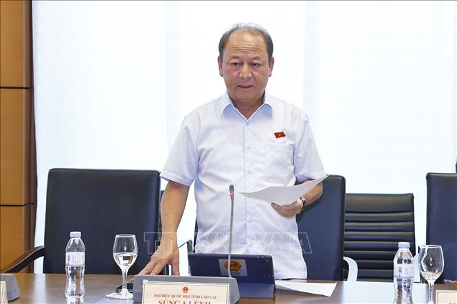 Đại biểu Quốc hội tỉnh Lào Cai Sùng A Lềnh phát biểu. Ảnh: Doãn Tấn - TTXVN