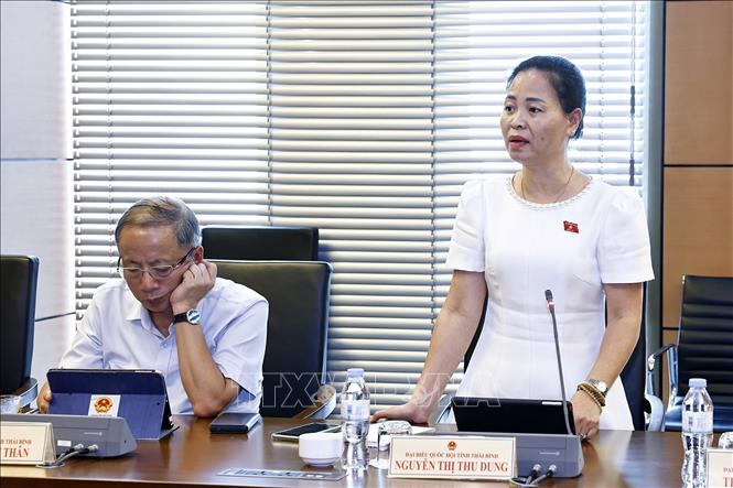 Đại biểu Quốc hội tỉnh Thái Bình Nguyễn Thị Thu Dung phát biểu. Ảnh: Doãn Tấn - TTXVN