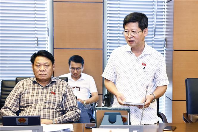 Đại biểu Quốc hội tỉnh Phú Thọ Vũ Tuấn Anh phát biểu. Ảnh: Doãn Tấn - TTXVN