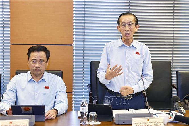Đại biểu Quốc hội TP Hồ Chí Minh Trần Hoàng Ngân phát biểu. Ảnh: Doãn Tấn - TTXVN