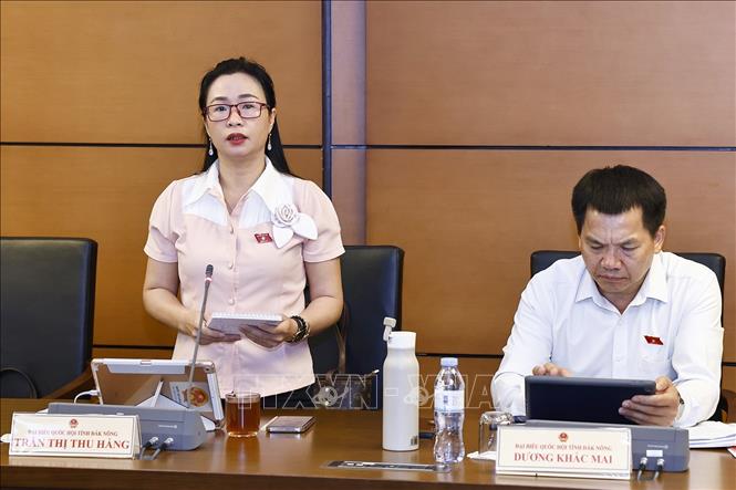 Đại biểu Quốc hội tỉnh Đắk Nông Trần Thị Thu Hằng phát biểu. Ảnh: Doãn Tấn - TTXVN