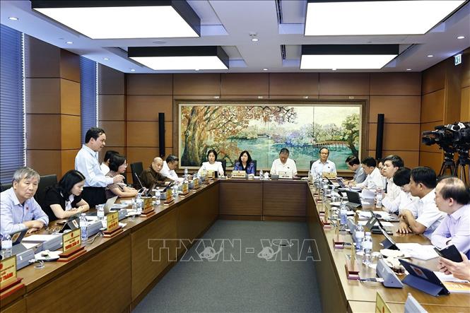 NA deputies of Hanoi discuss in group the draft Law on amendments and supplements to certain articles of the Law on Vietnamese Nationality. VNA Photo: Doãn Tấn