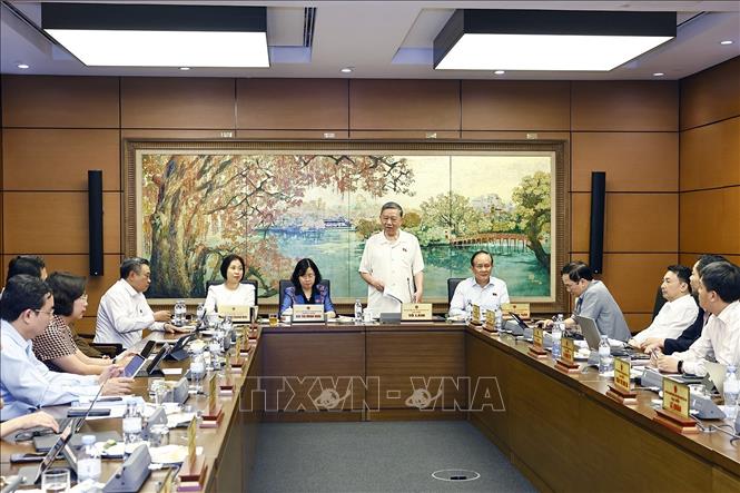 Tổng Bí thư Tô Lâm, Đại biểu Quốc hội thành phố Hà Nội phát biểu. Ảnh: Doãn Tấn - TTXVN