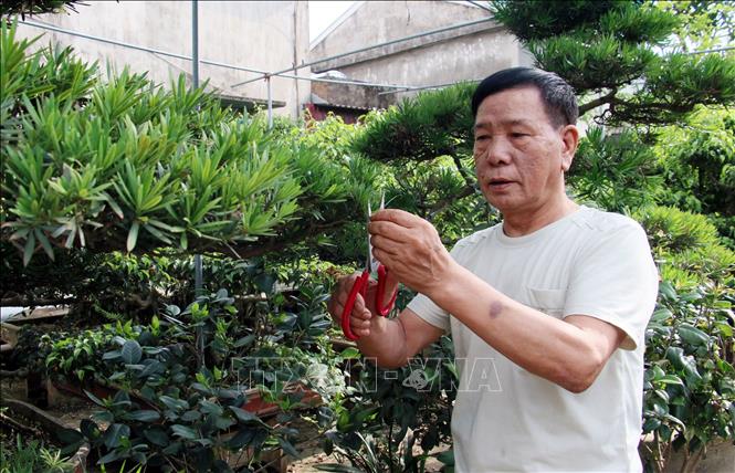 Cựu chiến binh Trần Tuấn Vóc (xã Đại An, huyện Vụ Bản) luôn gương mẫu đi đầu trong công tác khuyến học và xây dựng nông thôn mới của xã. Ảnh: Nguyễn Lành - TTXVN 