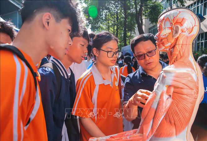Học sinh các trường THPT tìm hiểu về cơ thể người tại gian giới thiệu về y dược. Ảnh: Hoàng Hiếu - TTXVN