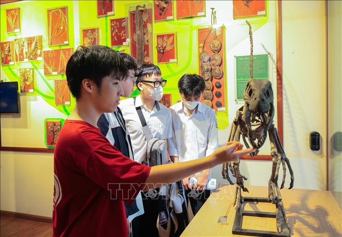 Học sinh tham quan, tìm hiểu tại Bảo tàng Thiên nhiên Việt Nam. Ảnh: Hoàng Hiếu - TTXVN