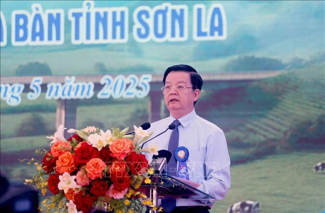 Phó Thủ tướng Mai Văn Chính phát biểu. Ảnh: Quang Quyết - TTXVN