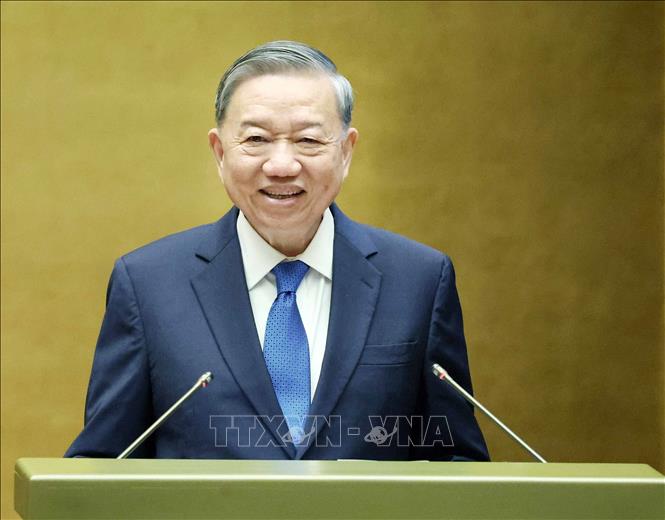 Party General Secretary To Lam speaks at the conference. VNA Photo
