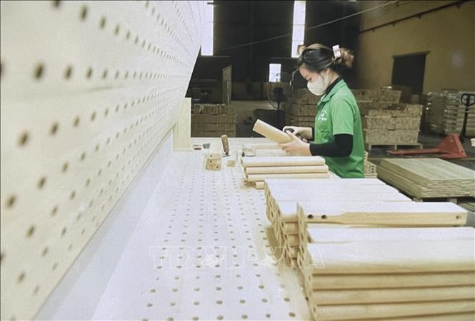 Công nhân sản xuất phôi gỗ tại Công ty cổ phần xuất nhập khẩu gỗ Tây Ninh. Ảnh: TTXVN phát