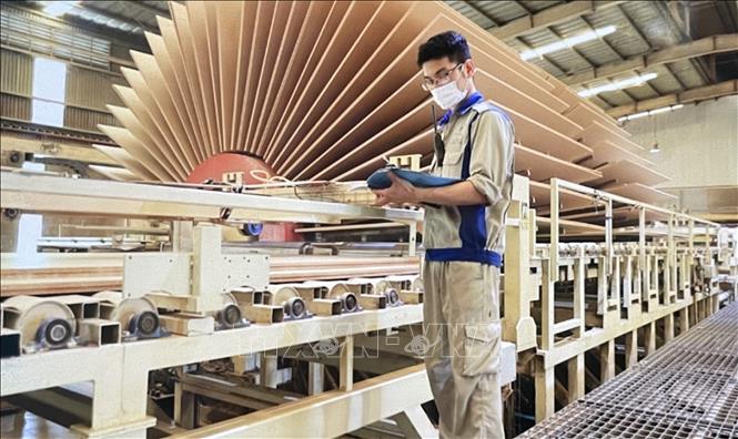 Sản xuất gỗ MDF tại Công ty gỗ Quảng Trị. Ảnh: TTXVN phát