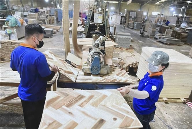 Sản xuất gỗ tấm tại Công ty gỗ Thuận An. Ảnh: TTXVN phát