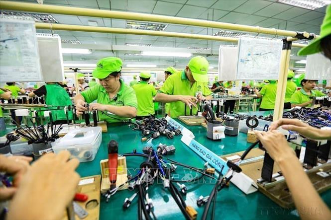 Công ty TNHH Bandai Việt Nam (Hòa Bình) là doanh nghiệp FDI với 100% vốn đầu tư của Nhật Bản chuyên sản xuất cụm dây dẫn đèn cho các hãng ô tô cung cấp đi thị trường Mexico, Nhật Bản, Mỹ, Pháp. Ảnh: Trọng Đạt - TTXVN