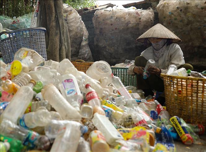 Các hộ dân thôn Xà Cầu phân loại rác thải nhựa để bán cho các nhà máy tái chế. Ảnh: Thành Phương - TTXVN