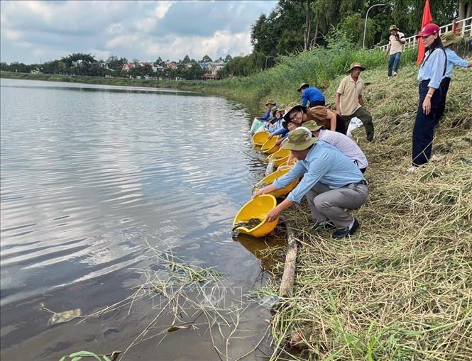 Đắk Nông thả cá giống ra tự nhiên nhằm tái tạo nguồn lợi thủy sản. Ảnh: TTXVN phát