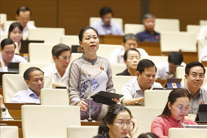 Đại biểu Quốc hội tỉnh Thái Bình Nguyễn Thị Thu Dung phát biểu. Ảnh: Doãn Tấn - TTXVN