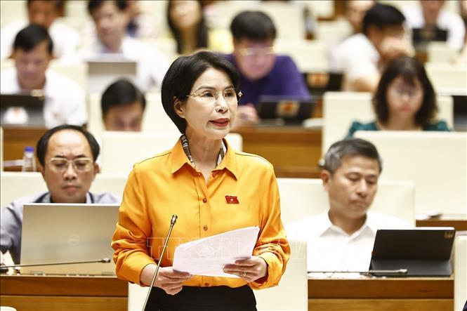 Đại biểu Quốc hội TP Hà Nội Trần Thị Nhị Hà phát biểu. Ảnh: Doãn Tấn - TTXVN