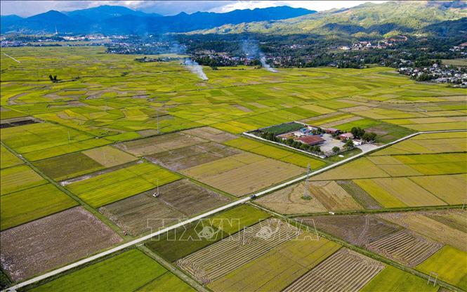 Cánh đồng Mường Thanh trải dài trên nhiều xã của huyện Điện Biên. Ảnh: Xuân Tư - TTXVN