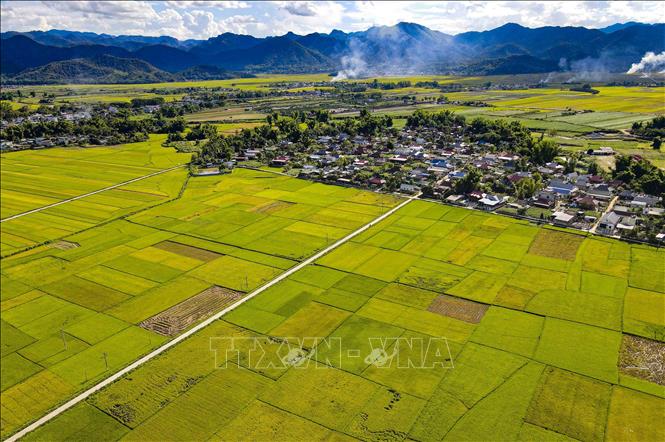 Một góc cánh đồng Mường Thanh khu vực xã Thanh Xương, huyện Điện Biên. Ảnh: Xuân Tư - TTXVN