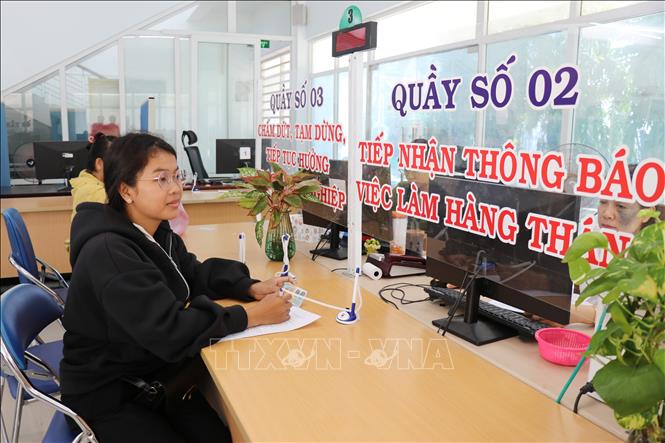 Lao động trẻ tìm hiểu thông tin việc làm tại Sàn giao dịch việc làm của Trung tâm Dịch vụ việc làm và Điều dưỡng người có công tỉnh Ninh Thuận. Ảnh: Nguyễn Thành – TTXVN