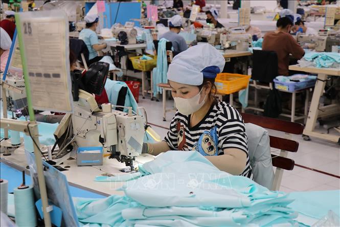  Sản xuất hàng may mặc xuất khẩu tại Công ty TNHH May Tiến Thuận ở thành phố Phan Rang - Tháp Chàm. Ảnh: Nguyễn Thành - TTXVN