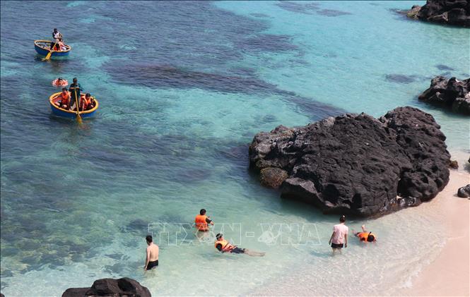 Du khách trải nghiệm bơi thúng và ngâm mình dưới làn nước xanh trong ở đảo Bé. Ảnh: Phạm Cường-TTXVN