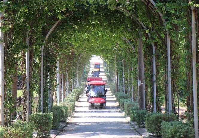 Đường hoa giấy xanh mát đưa du khách đến bãi tắm ở đảo Bé. Ảnh: Phạm Cường-TTXVN