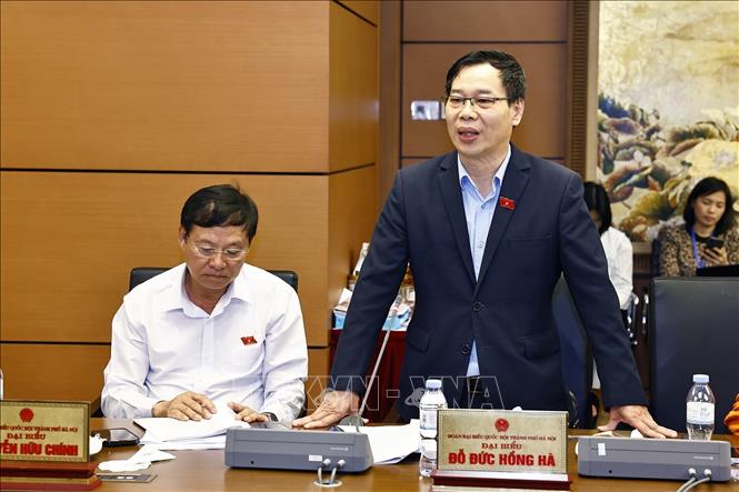Đại biểu Quốc hội TP. Hà Nội Đỗ Đức Hồng Hà phát biểu. Ảnh: Doãn Tấn - TTXVN