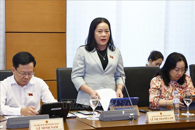 Đại biểu Quốc hội tỉnh Hậu Giang Lê Thị Thanh Lam phát biểu. Ảnh: Doãn Tấn - TTXVN