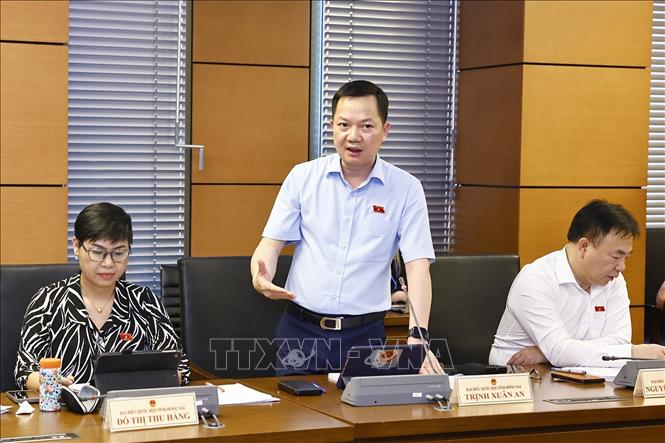 Đại biểu Quốc hội tỉnh Đồng Nai Trịnh Xuân An phát biểu. Ảnh: Doãn Tấn - TTXVN