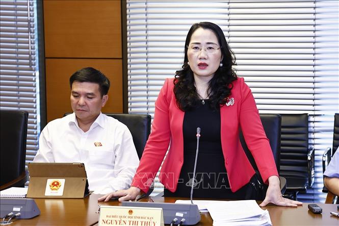 Đại biểu Quốc hội tỉnh Bắc Kạn Nguyễn Thị Thuỷ phát biểu. Ảnh: Doãn Tấn - TTXVN