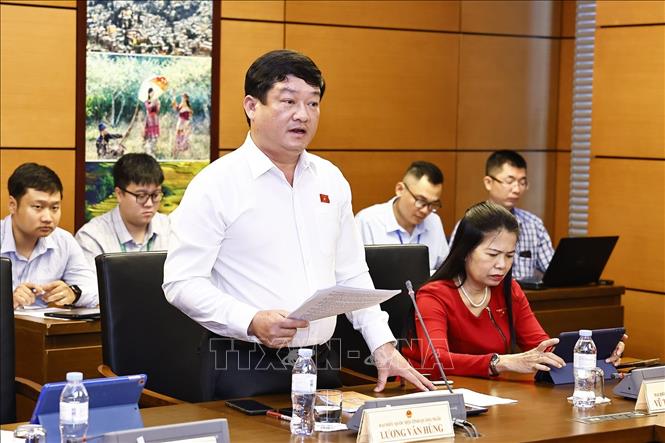 Đại biểu Quốc hội tỉnh Quảng Ngãi Lương Văn Hùng phát biểu. Ảnh: Doãn Tấn - TTXVN