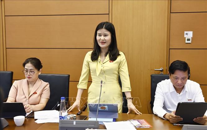 Đại biểu Quốc hội tỉnh Hà Tĩnh Bùi Thị Quỳnh Thơ phát biểu. Ảnh: Doãn Tấn - TTXVN