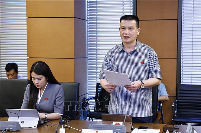 Đại biểu Quốc hội tỉnh Hà Giang Hoàng Ngọc Định phát biểu. Ảnh: Doãn Tấn - TTXVN