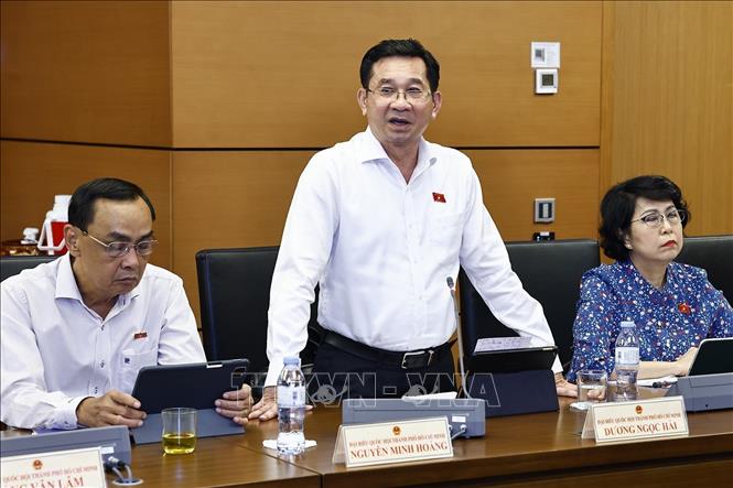 Đại biểu Quốc hội TP. Hồ Chí Minh Dương Ngọc Hải phát biểu. Ảnh: Doãn Tấn - TTXVN