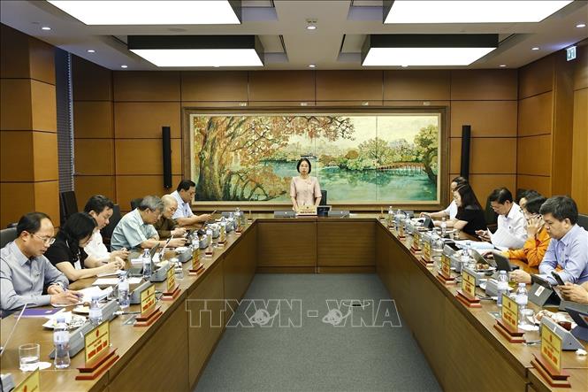 Đoàn đại biểu Quốc hội TP. Hà Nội thảo luận ở tổ. Ảnh: Doãn Tấn - TTXVN