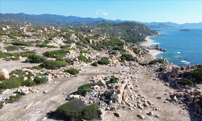 Một góc Công viên đá nằm trong Khu dự trữ sinh quyển thế giới Núi Chúa (Ninh Thuận). Ảnh: Nguyễn Thành - TTXVN