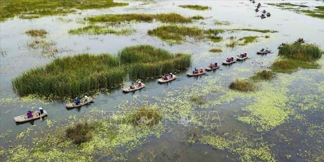 Đầm Vân Long, huyện Gia Viễn (Ninh Bình) là khu bảo tồn thiên nhiên đất ngập nước lớn nhất vùng đồng bằng châu thổ Bắc Bộ, nơi đây trở thành khu bảo tồn thiên nhiên, được ghi trong danh sách khu rừng đặc dụng Việt Nam và được công nhận là một khu Ramsar của Thế giới. Ảnh: Minh Đức - TTXVN