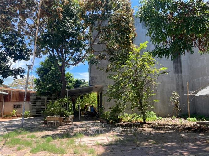 Hiện 17 lô đất trong Khu tái định cư 4,07ha ở phường 10, thành phố Vũng Tàu bị nằm trong quy hoạch dự án cải tạo, nâng cấp đường Công Chánh có từ trước đó. Ảnh: Hoàng Nhị - TTXVN