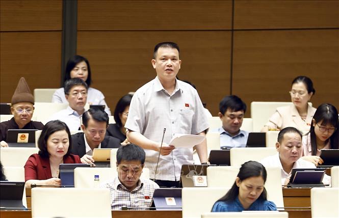 Đại biểu Quốc hội tỉnh Hà Giang Hoàng Ngọc Định phát biểu. Ảnh: Doãn Tấn - TTXVN