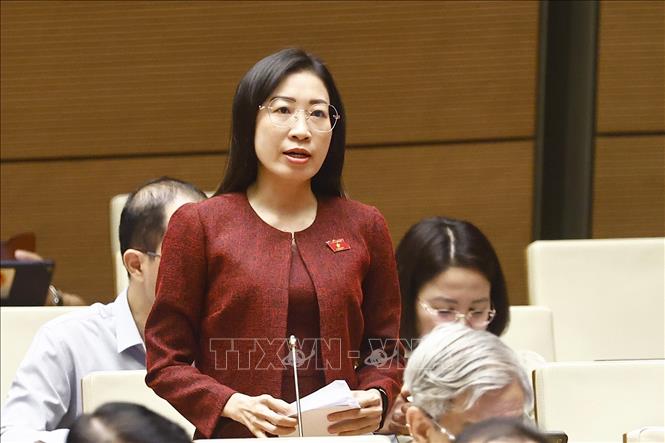 NA Deputy from Tay Ninh province Hoang Thi Thanh Thuy speaks at the session. VNA Photo: Doãn Tấn