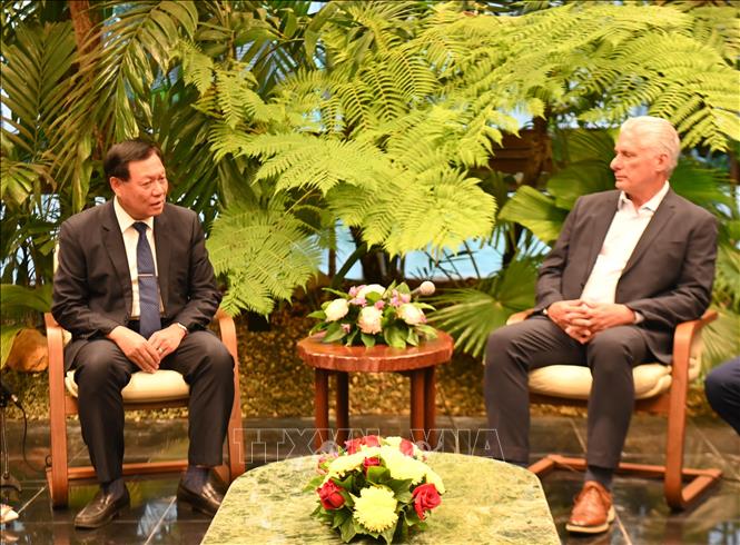 Chủ tịch Cuba Miguel Díaz-Canel Bermúdez tiếp Thứ trưởng Đỗ Xuân Tuyên. Ảnh: Việt Hùng-p/v TTXVN tại Cuba