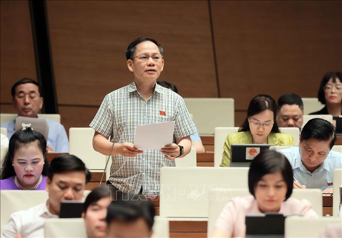 Đại biểu Quốc hội tỉnh Hà Tĩnh Trần Đình Gia phát biểu. Ảnh: An Đăng - TTXVN