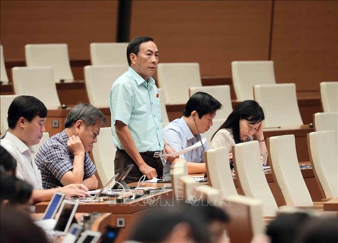 Đại biểu Quốc hội tỉnh Đồng Tháp Phạm Văn Hòa phát biểu. Ảnh: An Đăng - TTXVN