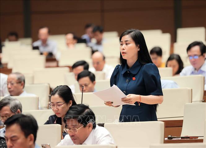 Đại biểu Quốc hội tỉnh Quảng Nam Đặng Thị Bảo Trinh phát biểu. Ảnh: An Đăng - TTXVN